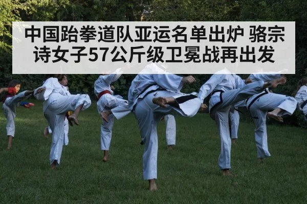 taekwondo kick action